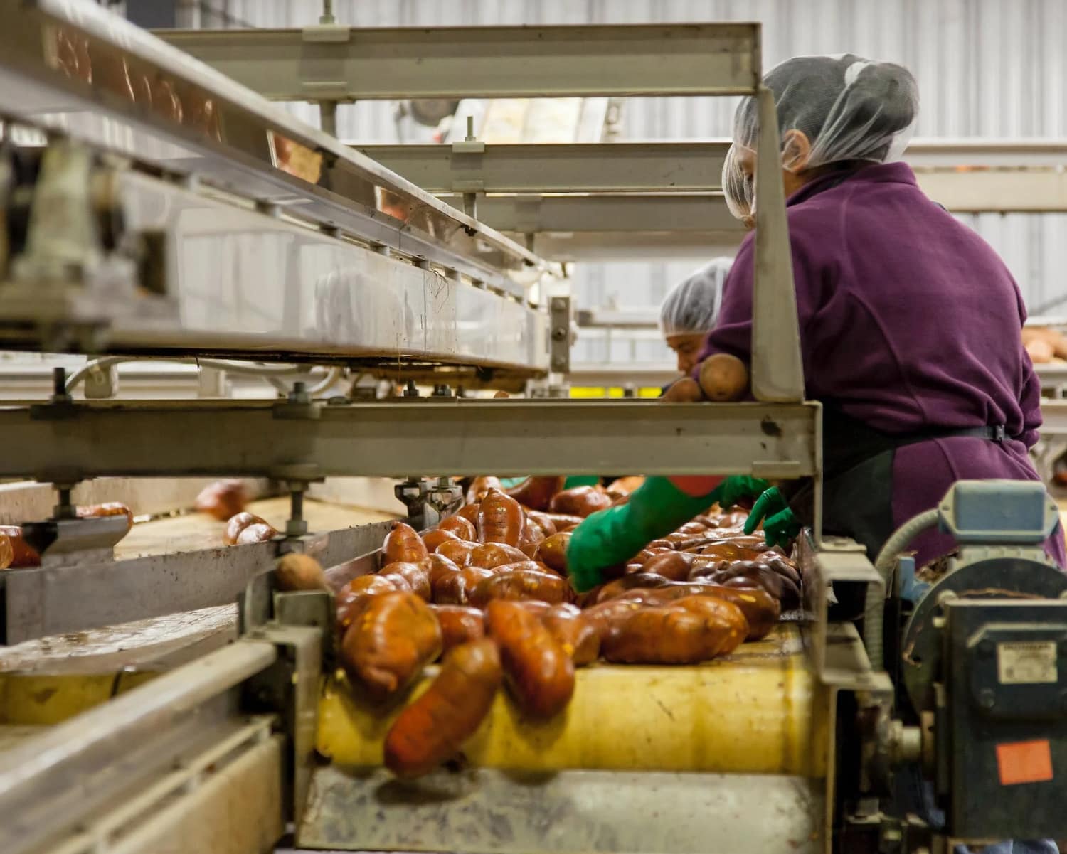 Food Processing